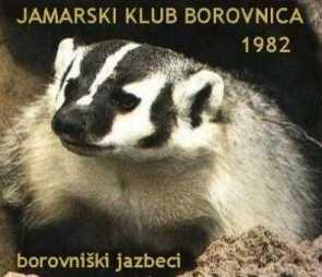 Jamarski klub Borovnica